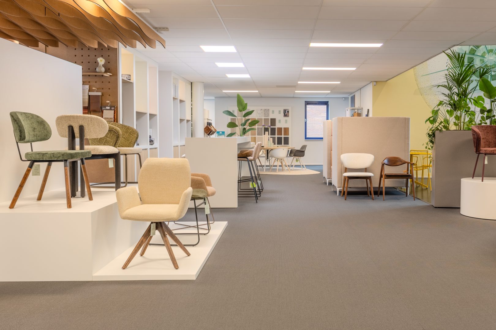 Zevenbergen – Showroom 5